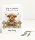 Funny Cow Birthday Card, Highland Cow Birthday Card, Farm Animal Birthday Card, Humorous Ageing Card, Countryside Birthday Card